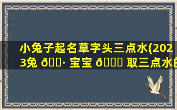 小兔子起名草字头三点水(2023兔 🌷 宝宝 🐛 取三点水的名字)